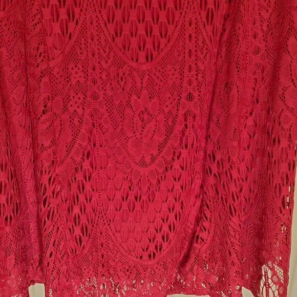 NWT Rabbit Rabbit Rabbit Raspberry Lace 3/4 Sleeve Dress Size 22W Lined - Picture 5 of 7